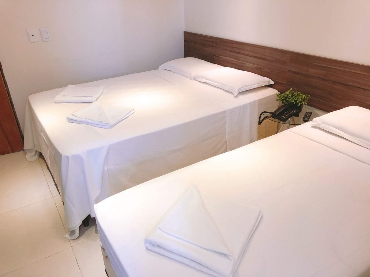 Two single beds with white linens, a wooden headboard, a bedside table with a phone and remote, and a small plant.