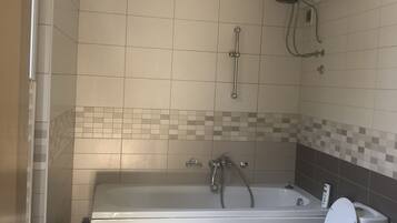 Shower, hair dryer, soap, toilet paper