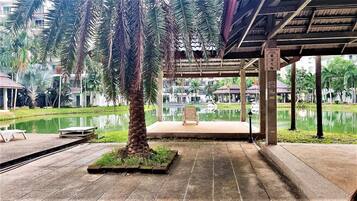 Studio | Property grounds