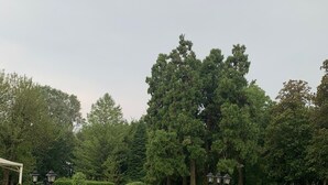 Land view from property - Park Hotel (Mogliano Veneto)
