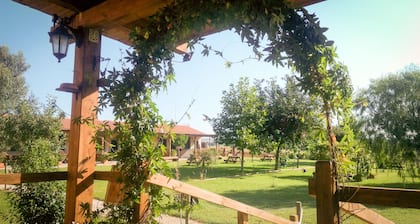 Agriturismo San Matteo