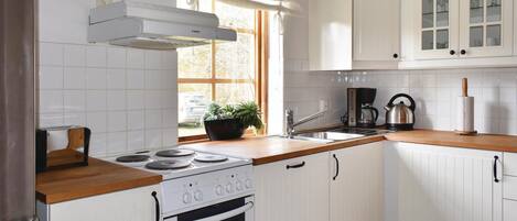 Fridge, stovetop, dishwasher, coffee/tea maker