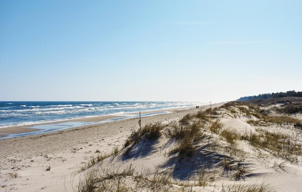 Beach nearby, fishing