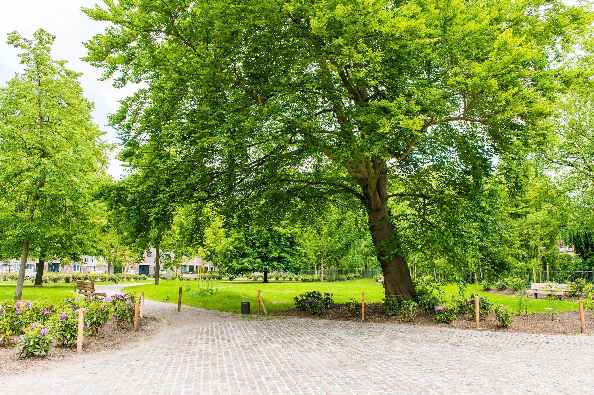 Photo - Hotel Mariënhage