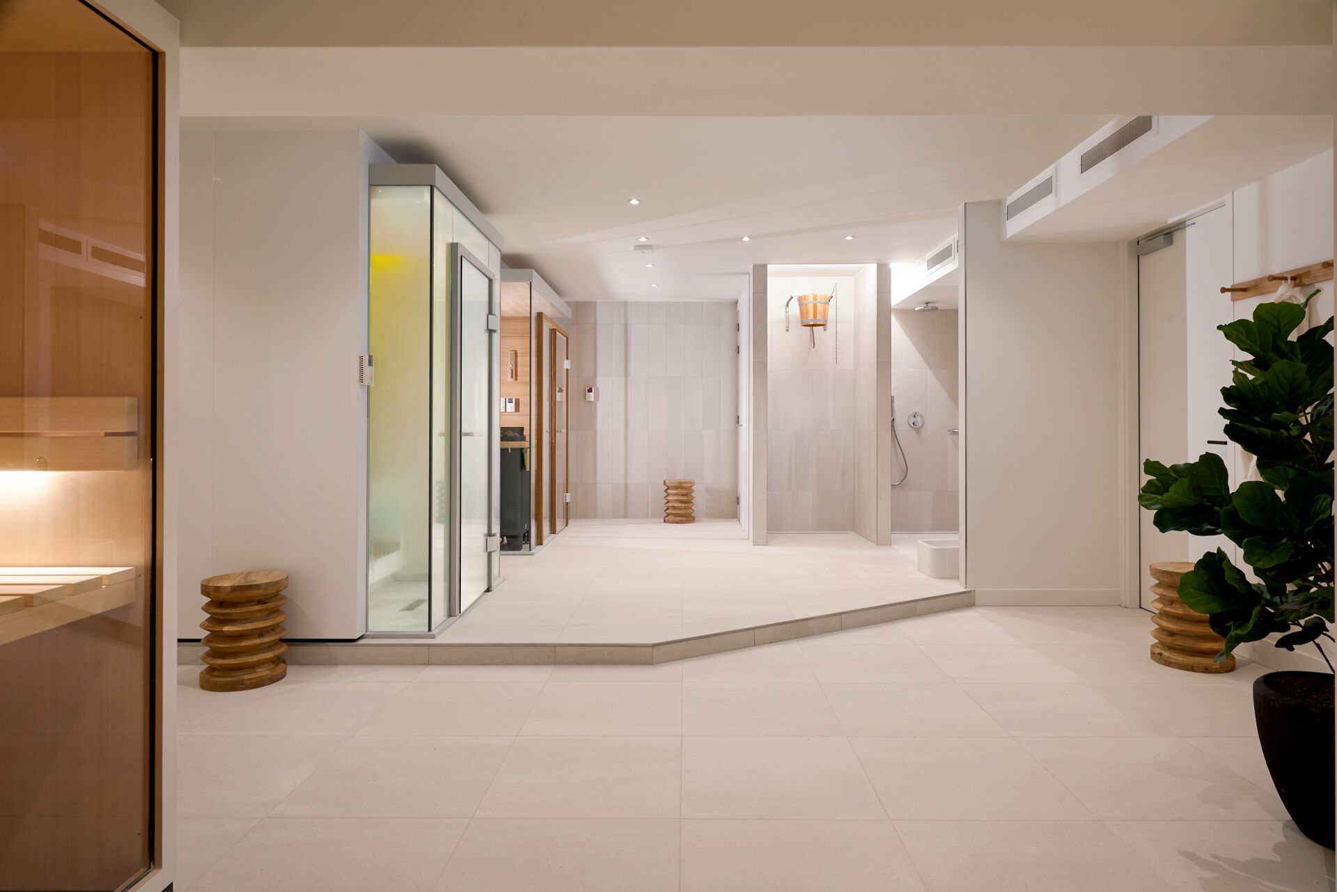 Un couloir d’hôtel moderne avec des portes en verre, un espace douche et une grande plante en pot.