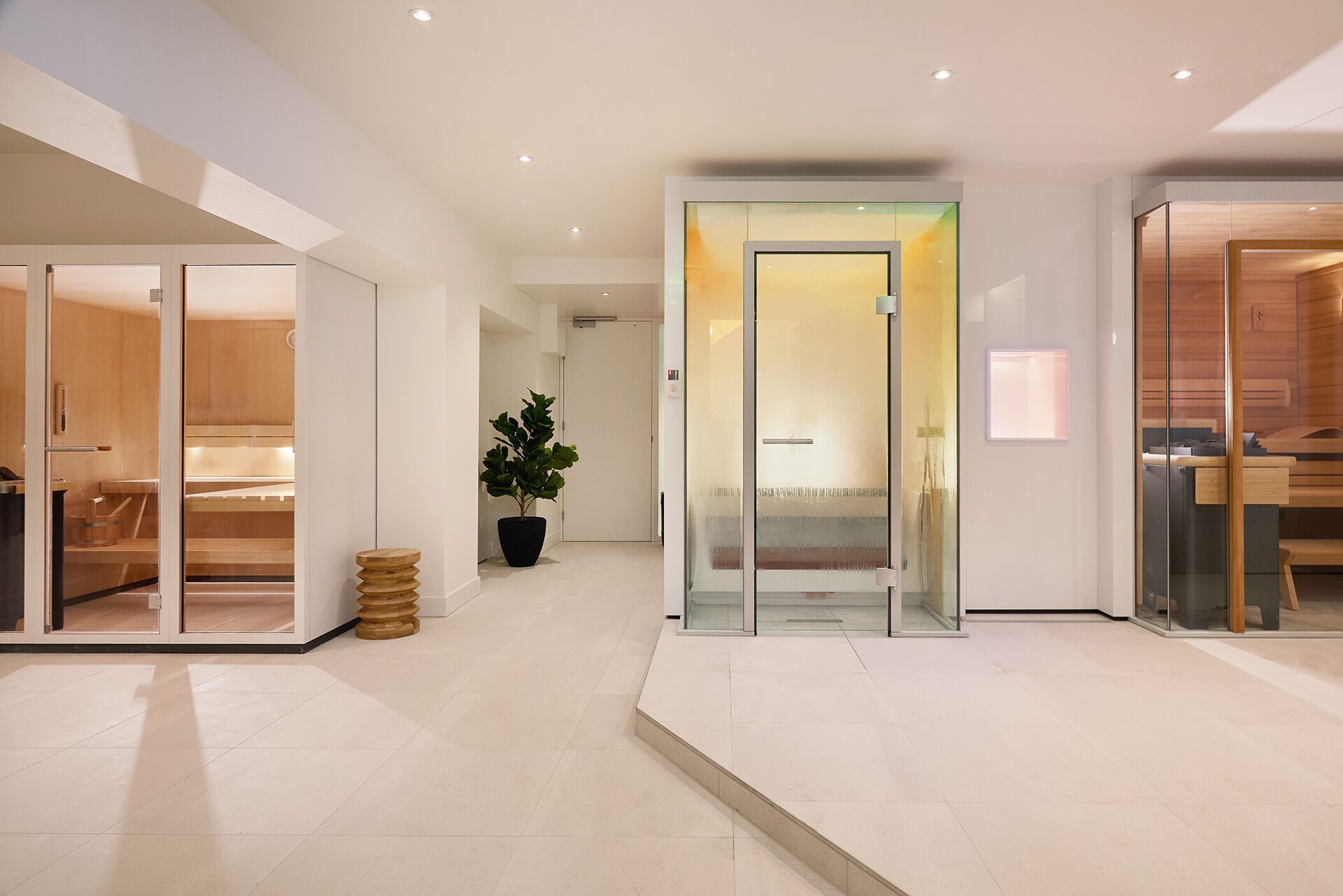 A modern hotel interior with a central elevator, glass doors, and a potted plant.