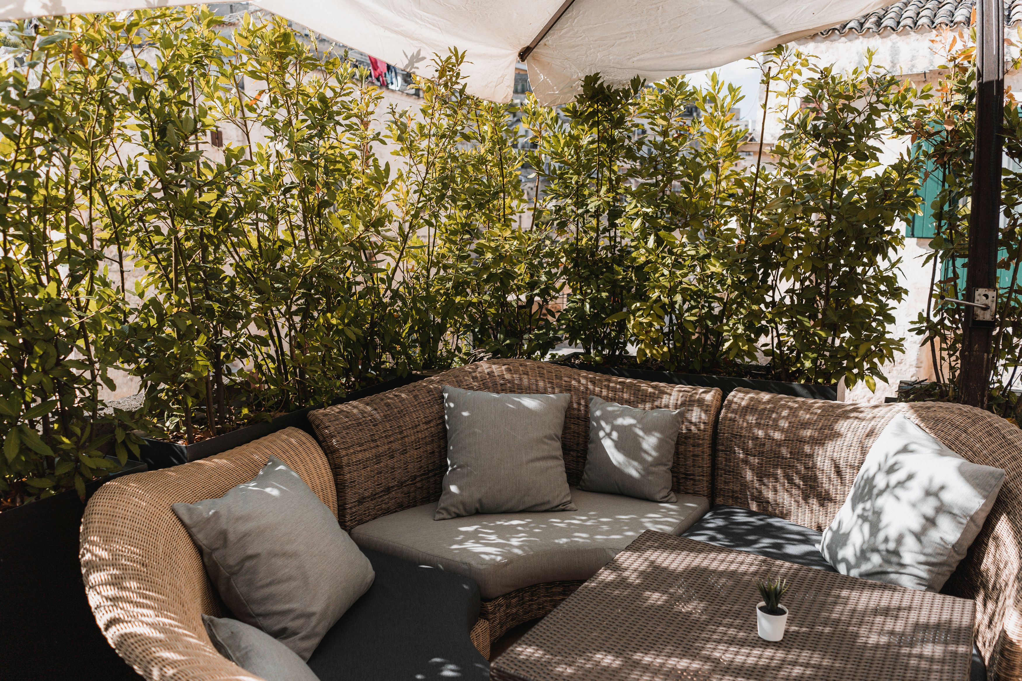 Foto - Gradelle San Nicola