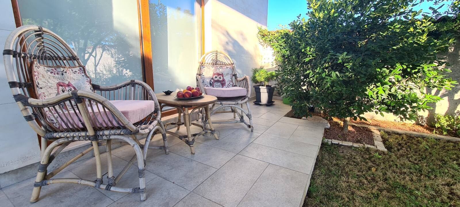 Un patio con sillas de mimbre y una mesa, una planta pequeña en maceta y un jardín bien cuidado.