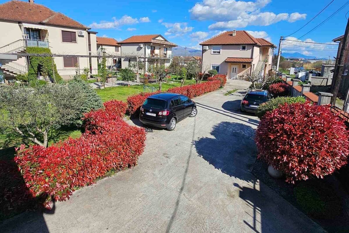 Rua residencial com casas, carros estacionados ao lado e arbustos floridos vermelhos ao longo da estrada.