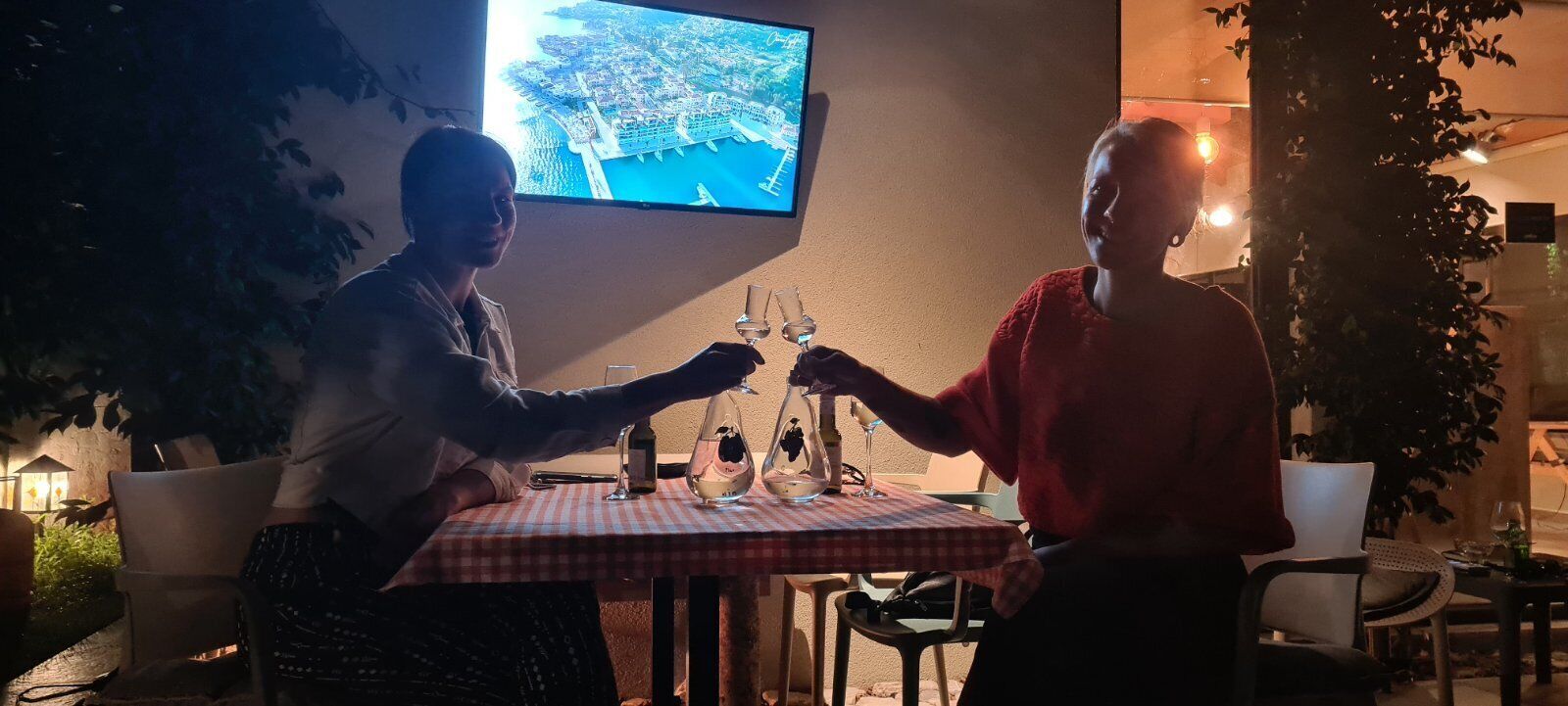 Two people toasting at a table with a checkered tablecloth, a bottle, and glasses of wine. A television displaying a cityscape is mounted on the wall behind them.