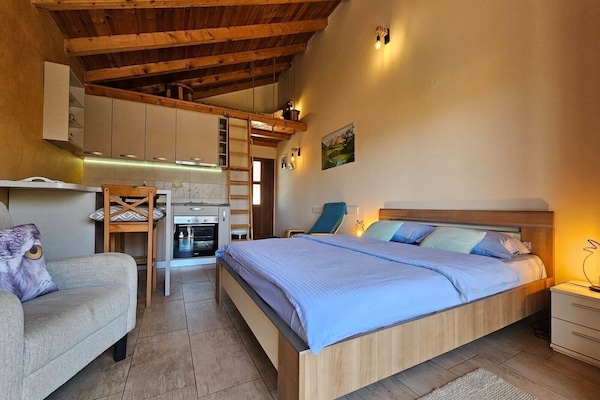 Deluxe Apartment | Premium bedding, minibar, individually decorated, desk