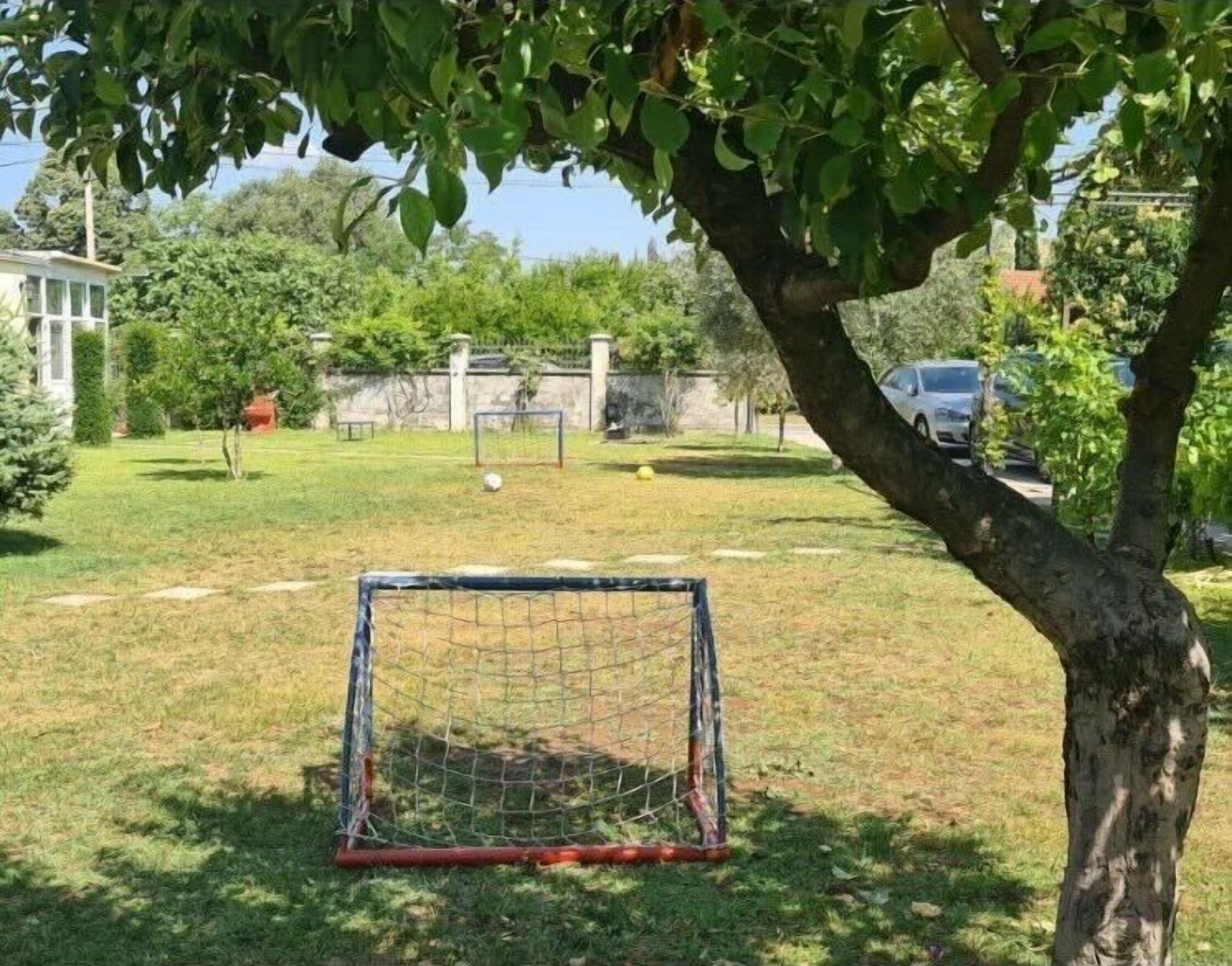 A backyard with a soccer goal, a tree, and a house in the background.