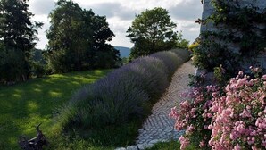 Un sendero de piedra que atraviesa un jardín con lavanda y flores rosadas, rodeado de árboles y un muro de piedra.