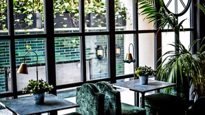 Un rincón interior acogedor con vistas a un edificio de ladrillo a través de amplios ventanales, una mesa con lámpara y plantas en macetas.