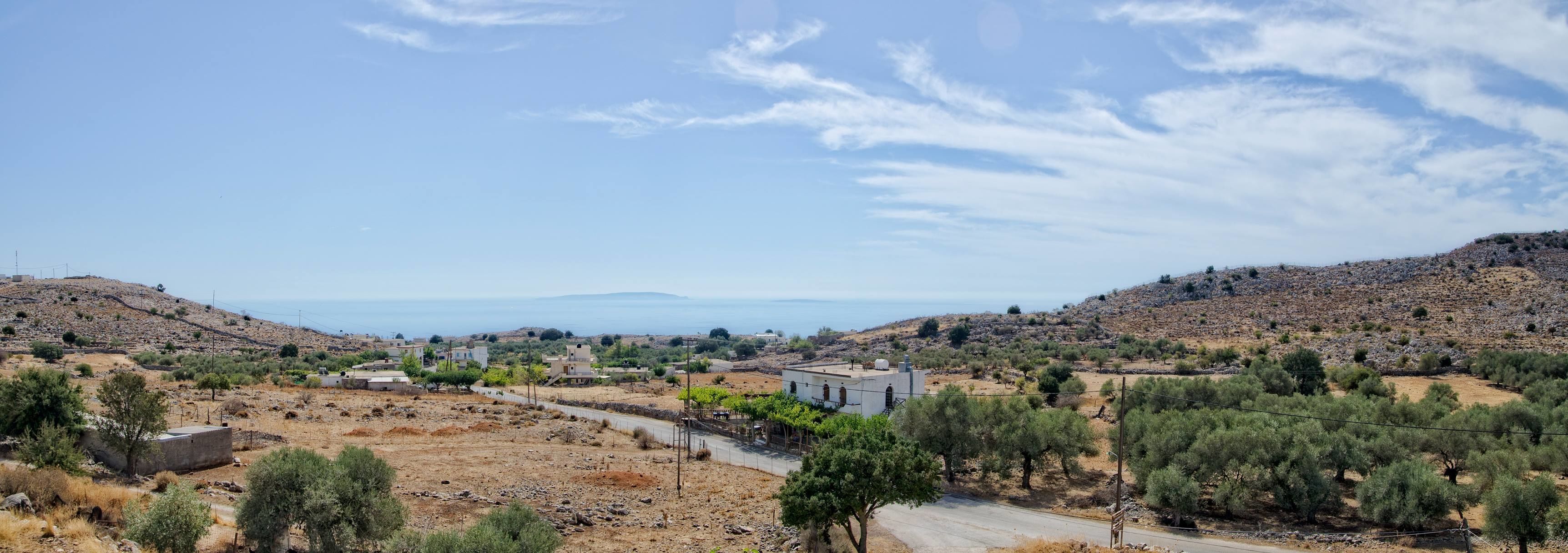 A rural landscape with a road, olive trees, and buildings in the distance.
