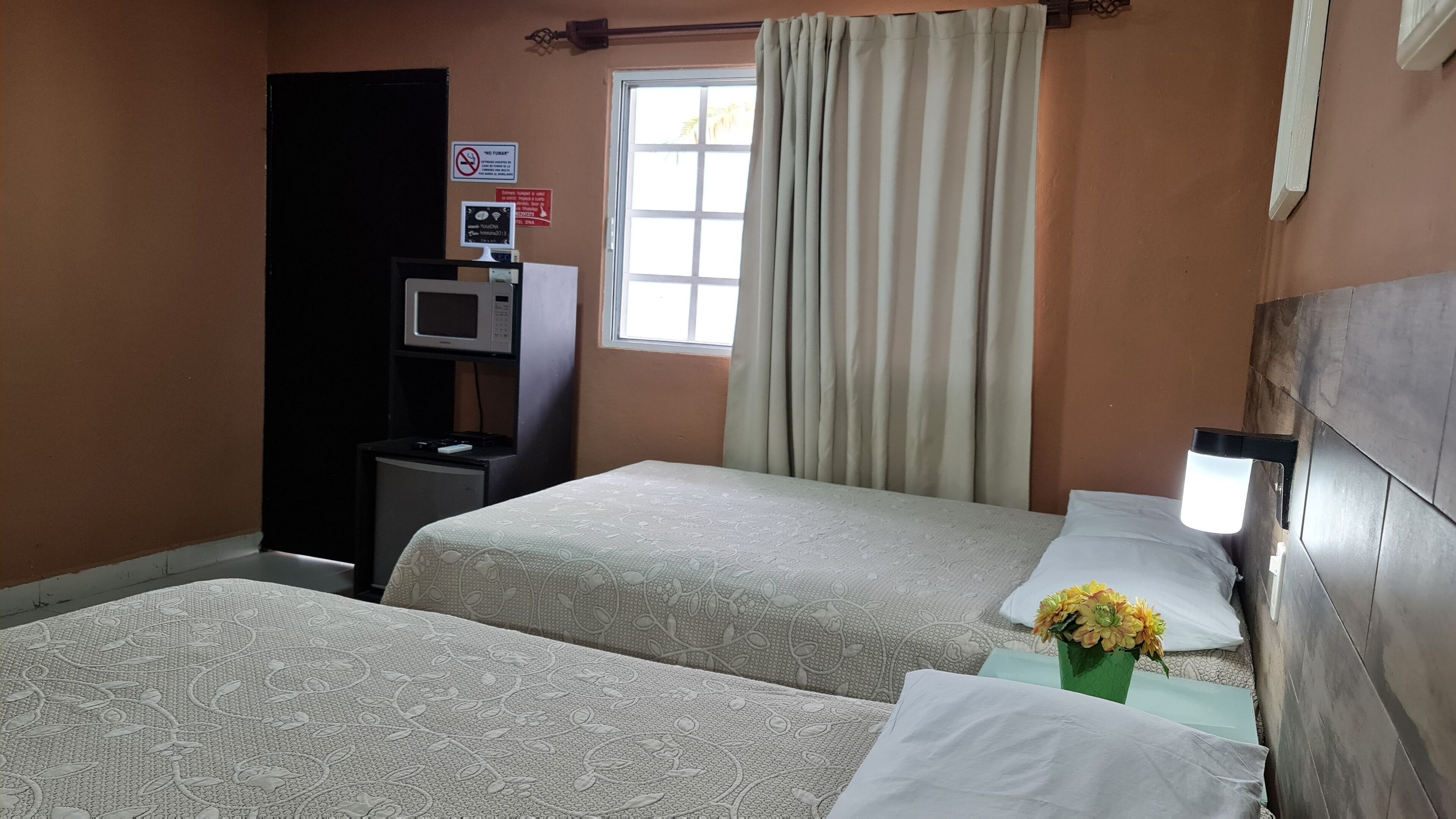 Photo - DNA Cancun Hotel y Posada