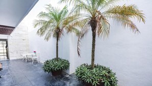 A modern indoor space with two palm trees in large pots, a white table with chairs, and a stone wall. - Hotel DNA Cancun (Cancun)