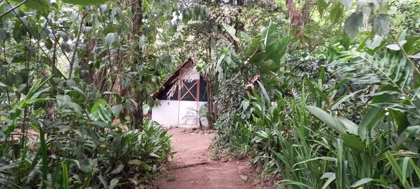 基本小屋 | 1 間睡房、床單