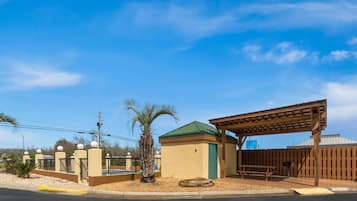 Propiedad amurallada con una palmera, un pérgola de madera y un cielo azul despejado.