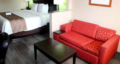 Quality Inn & Suites Dublin