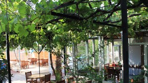 Un patio al aire libre con mesas y sillas de madera, rodeado de exuberante vegetación y parras.