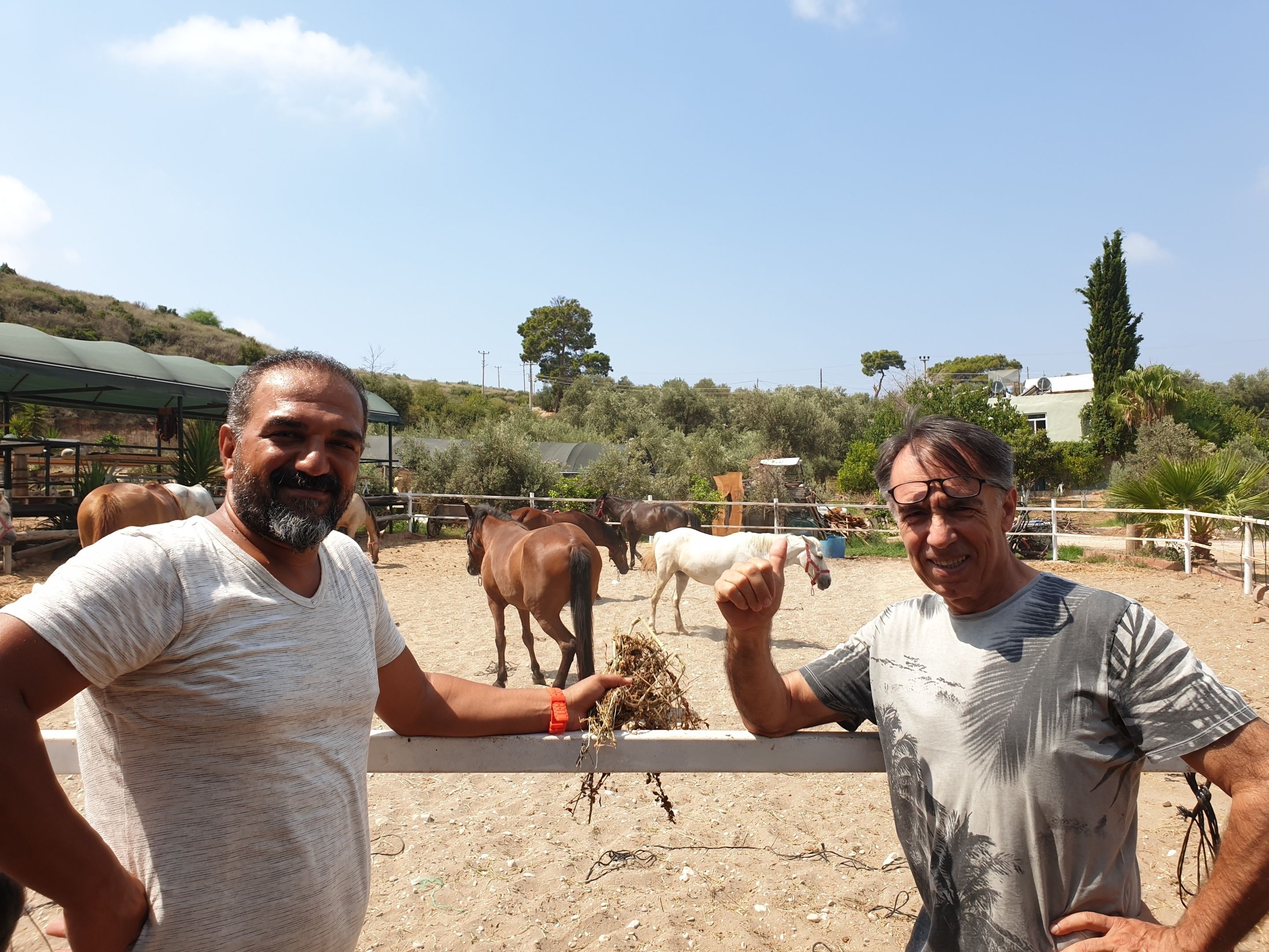 Dos hombres de pie en un establo con caballos.