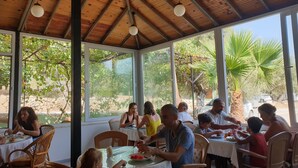 Un espacio de comedor al aire libre techado con mesas, sillas, ventanas amplias y techo de madera.