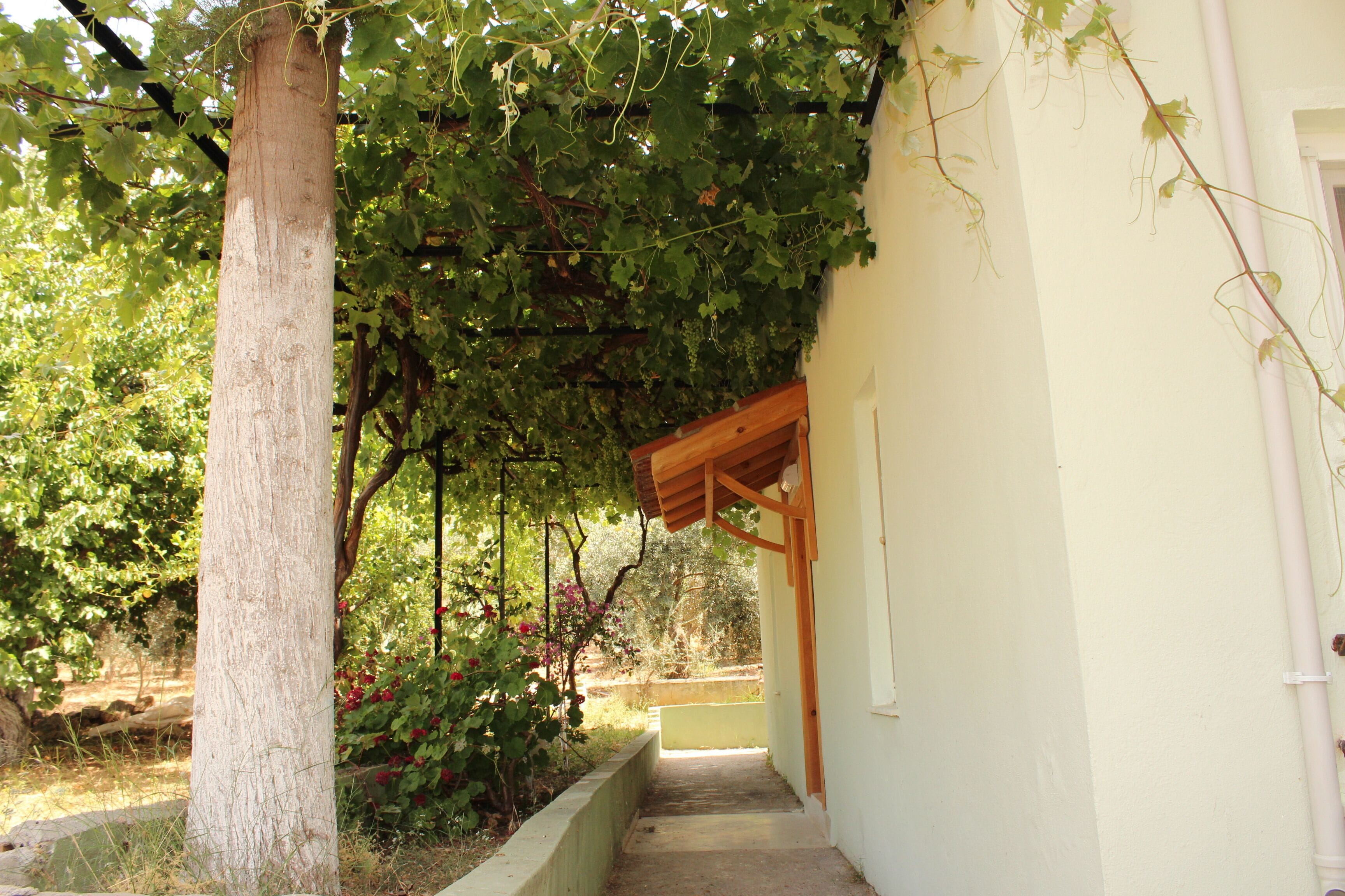 Jardin