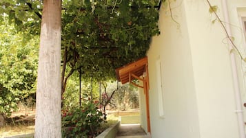 Jardin