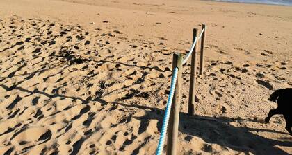 Sur l'ßle d'Oléron en plein coeur du village situé au bord de mer