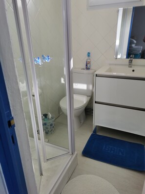 Shower, hair dryer, toilet paper