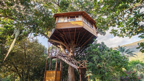 A treehouse with a wooden exterior and a staircase leading up to it, surrounded by lush greenery. - Pousada Lendas do Capão (Palmeiras)