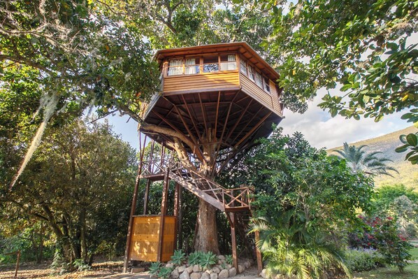 A treehouse with a wooden exterior and a staircase leading up to it, surrounded by lush greenery. - Pousada Lendas do Capão (Palmeiras)