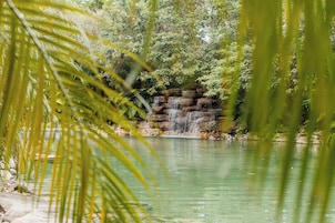 Una cascada se precipita sobre un saliente rocoso hacia un estanque tranquilo, rodeado de abundante vegetación.