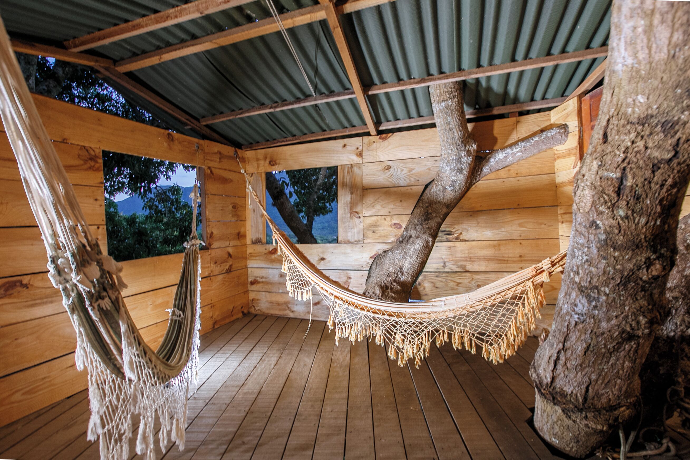 A wooden cabin with a hammock suspended from a tree, wooden floors, and a corrugated metal roof.