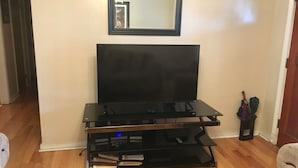 32-inch TV with digital channels, Netflix, DVD player - Minutes from Downtown (North Charleston)
