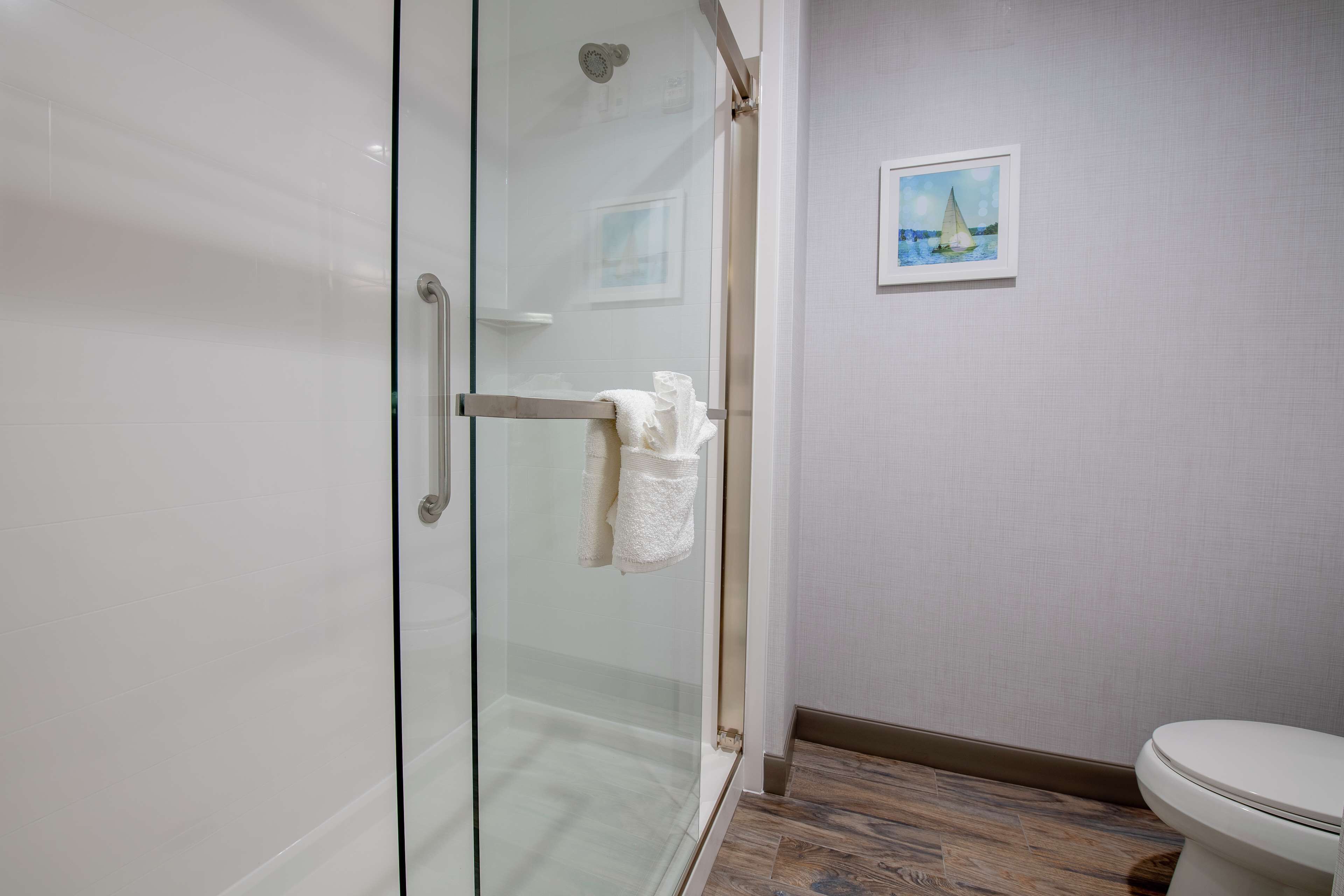 A modern bathroom with a glass shower enclosure, a white toilet, and a framed picture on the wall.