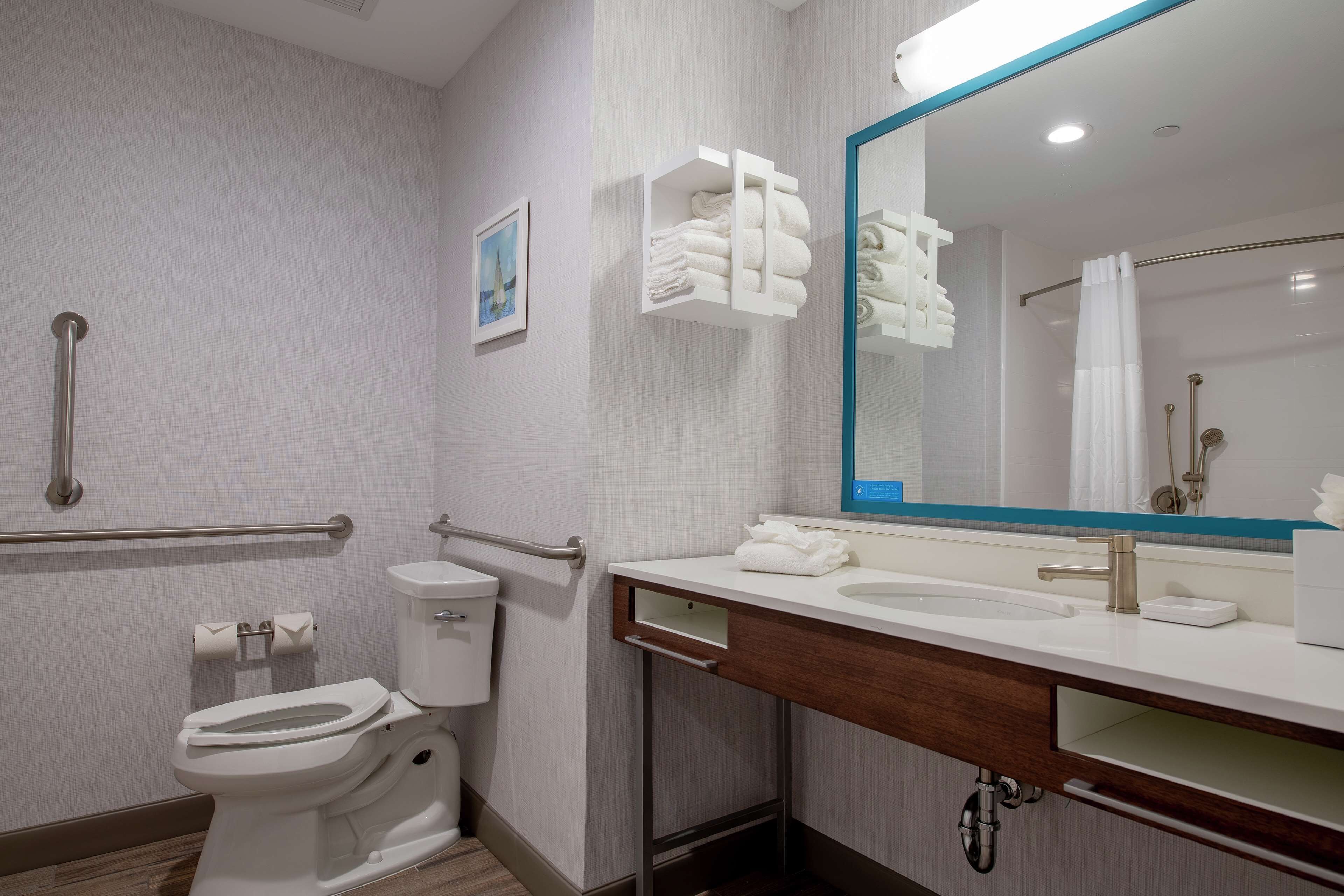 Une salle de bain équipée de toilettes, d’un lavabo et d’un miroir. On y trouve également des barres d’appui et un porte-serviettes.