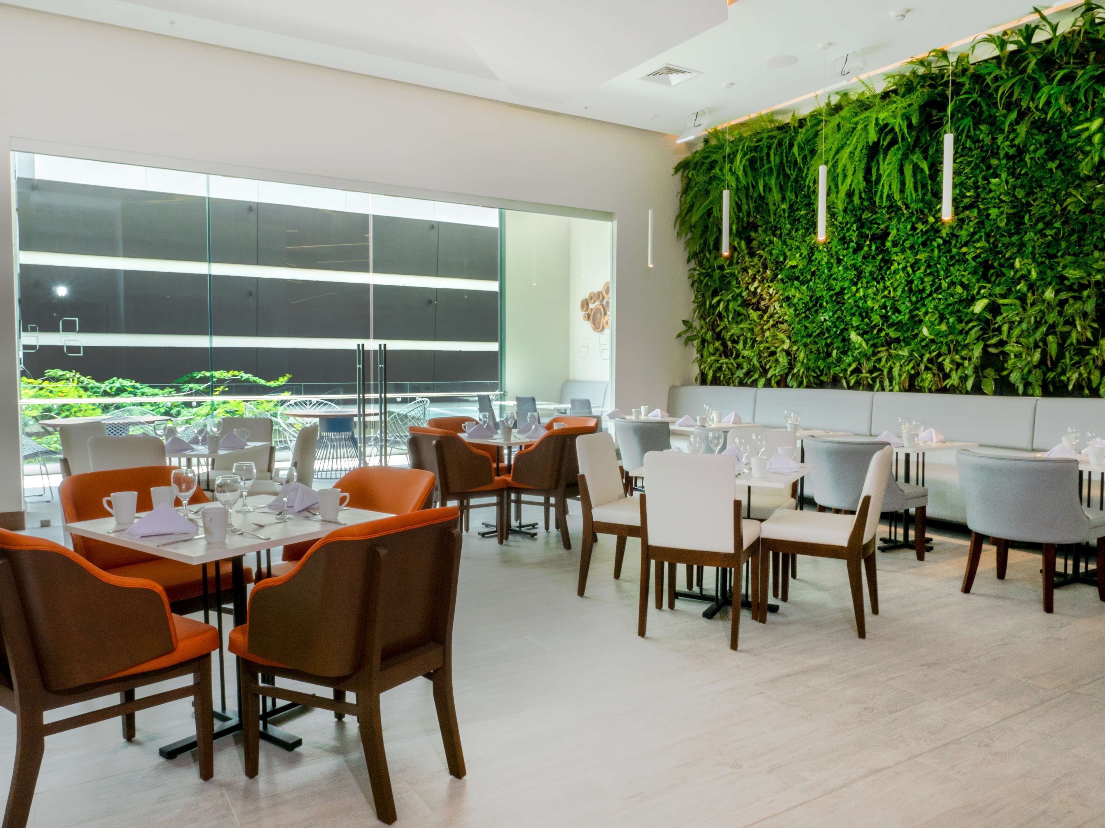 Um restaurante moderno com mesas, cadeiras, janelas amplas e uma parede verde com plantas penduradas.