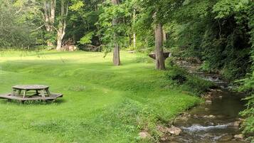 Área de parrilladas y picnic