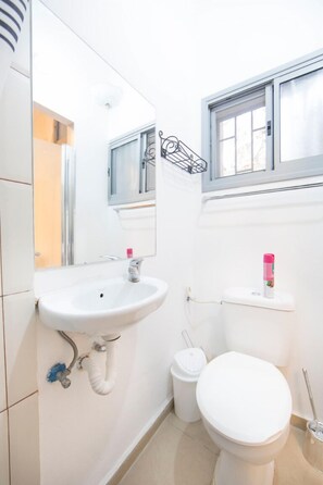 Dusche, Handtücher, Shampoo, Toilettenpapier