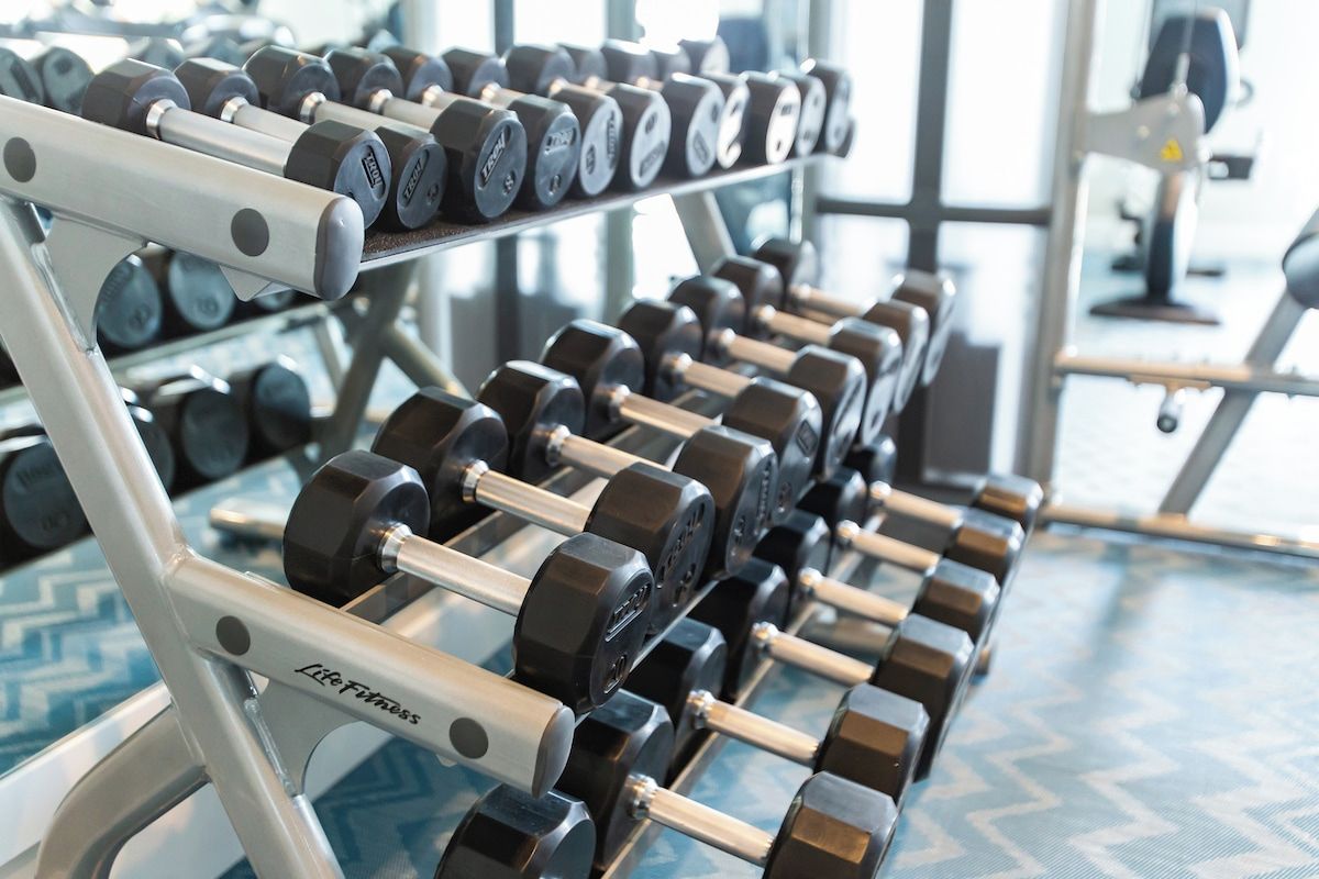 Un gimnasio con filas de mancuernas en un soporte.