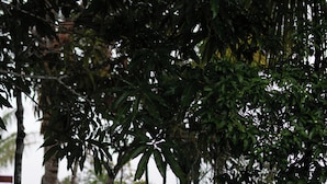 Kawasan hartanah