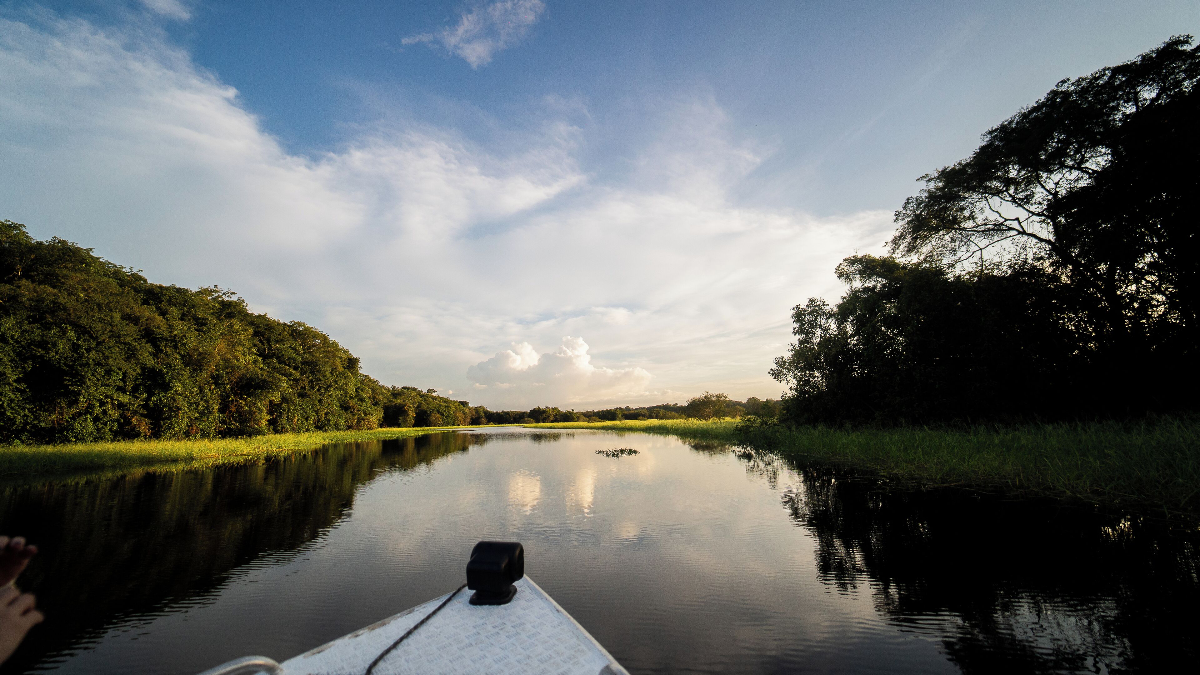 A calm river with dense greenery on both sides, viewed from a boat.