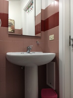 Shower, hair dryer, bidet