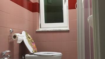 Douche, sĂšche-cheveux, bidet