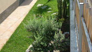 A garden with various plants and a wooden pergola.