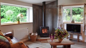 A cozy living room with a fireplace, a television, and a view of greenery outside. - 2 bedroom accommodation in near Trecastle, Brecon (near Trecastle, Brecon)