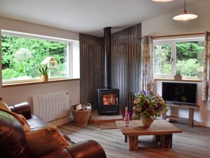 Fireplace - 2 bedroom accommodation in near Trecastle, Brecon (near Trecastle, Brecon)