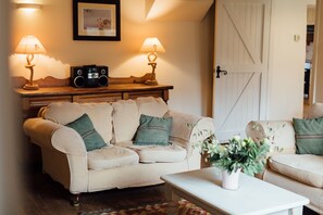 Smart TV, fireplace, DVD player, books